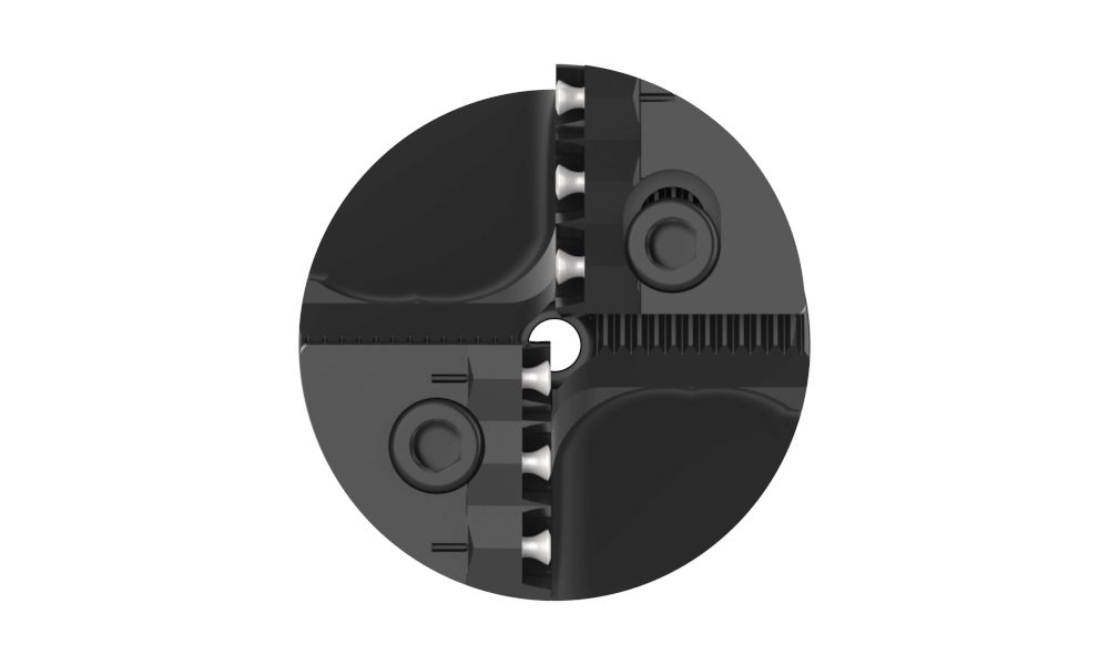 Head